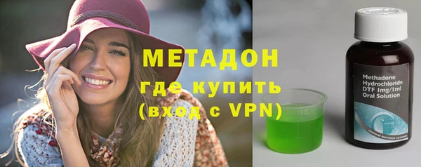 прущие грибы Абаза