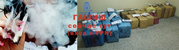 прущие грибы Абаза