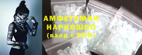 прущие грибы Абаза