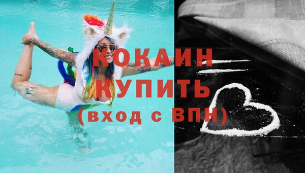 прущие грибы Абаза