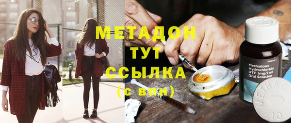 прущие грибы Абаза