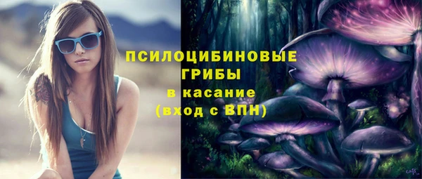 прущие грибы Абаза