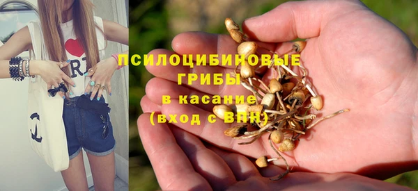 прущие грибы Абаза