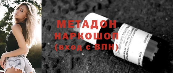 прущие грибы Абаза