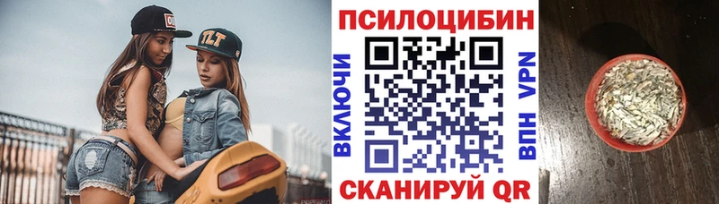 Псилоцибиновые грибы Psilocybine cubensis Петров Вал