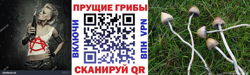 Галлюциногенные грибы GOLDEN TEACHER Петров Вал